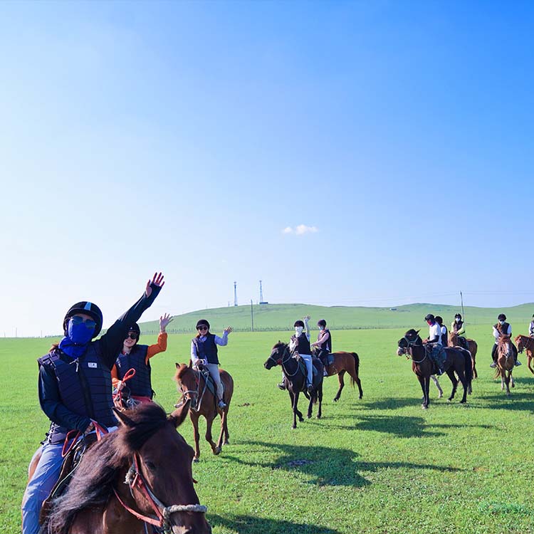 Formazione di equitazione Case